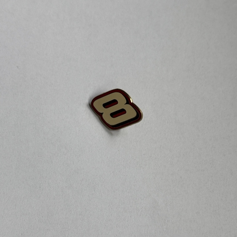 Vintage Dale Earnhardt Jr Pin / NASCAR